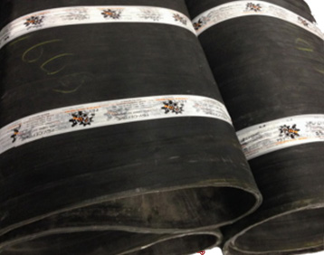 РТИ рукова фото