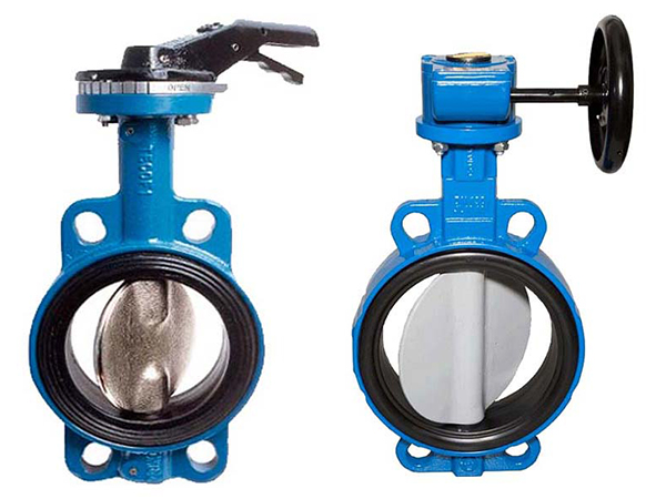 Затворы дисковы фото